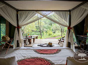 Mara Bush Camp: Blick aus einem Gästezelt Mara Bush Camp: Blick aus einem Gästezelt