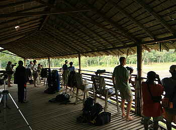 Sangha Lodge: Beobachtungsplattform Sangha Lodge: Beobachtungsplattform