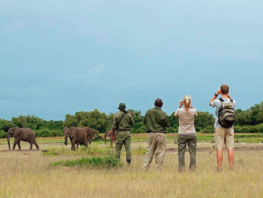 Time + Tide Luwi: Buschwanderung mit Elefanten Time + Tide Luwi: Buschwanderung mit Elefanten