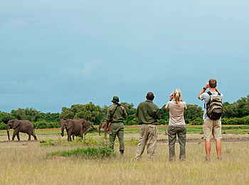 Time + Tide Luwi: Buschwanderung mit Elefanten