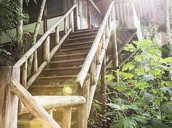 Buhoma Lodge: Steile Treppe