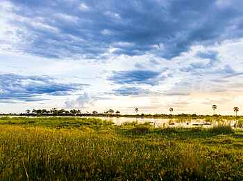 Daunara Safari Camp: Delta