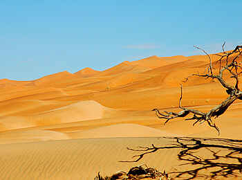 Desert Horse Inn: Atemberaubende Sanddünen in der Namib-Wüste Desert Horse Inn: Atemberaubende Sanddünen in der Namib-Wüste