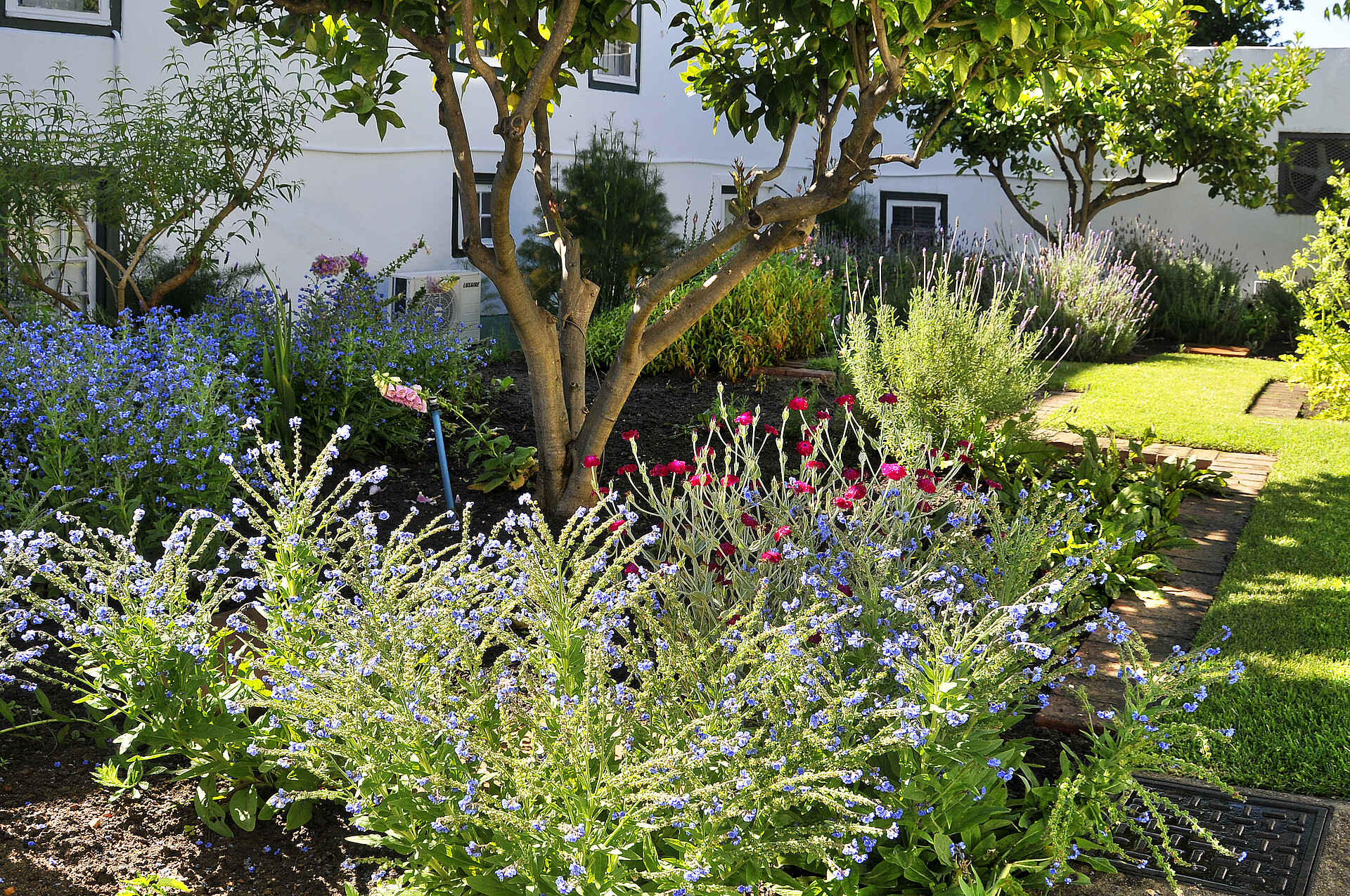 Bosman's, Drakenstein Mountains, Grande Roche Hotel, Paarl, Paarl Rock, Small Luxury Hotels of the World, Südafrika, Weinberge, Gartenanlage, Kräutergarten, Afrikarma, Afrikarma Safaris, Afrikarma Safaris – Wildnis. Hautnah., afrikarma.de