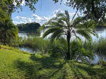 Shametu River Lodge: Der Fluss