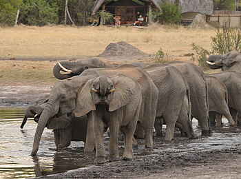 The Hide: Blick aus dem Unterstand The Hide: Blick aus dem Unterstand