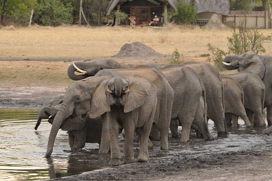 The Hide: Blick aus dem Unterstand The Hide: Blick aus dem Unterstand