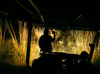 Bushman Plains Camp: Night Drive Bushman Plains Camp: Night Drive