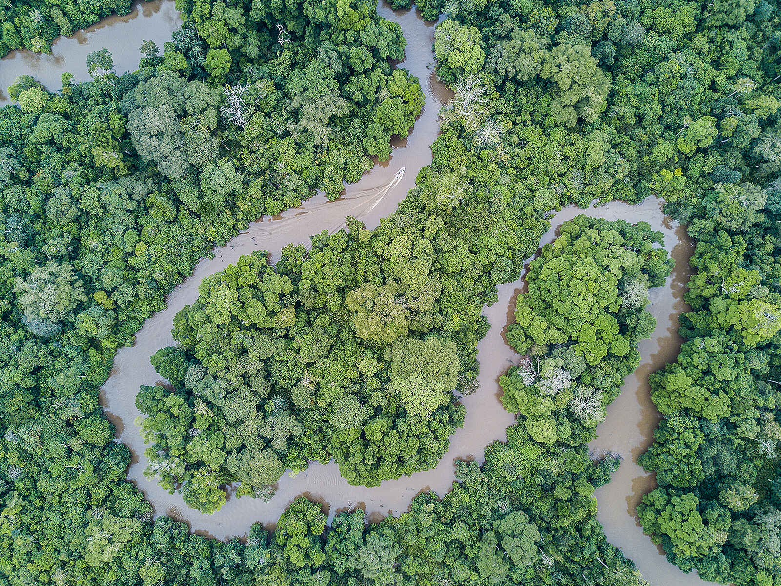 Mboko Camp: Der Lekoli River aus der Luft Mboko Camp: Der Lekoli River aus der Luft