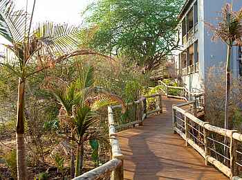 Chobe Bush Lodge: Hölzerner Laufsteg Chobe Bush Lodge: Hölzerner Laufsteg