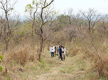 Entikko Safari Lodge: Eine Wandersafari Entikko Safari Lodge: Eine Wandersafari
