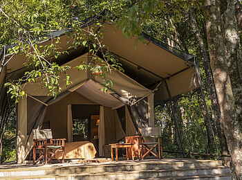 Governor´s Camp: Luxury Tent Ansicht