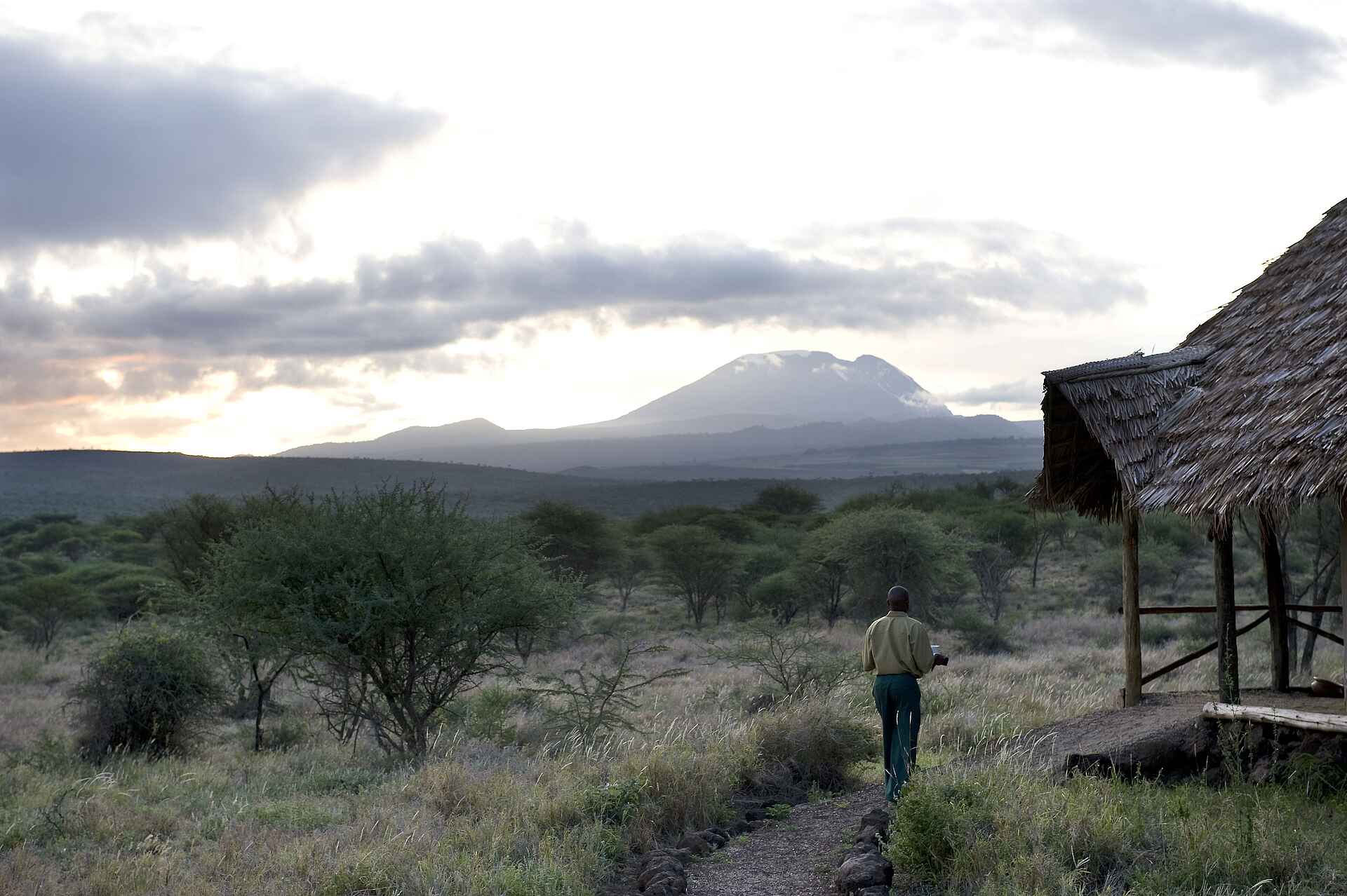 Ebene, Kilimanjaro, Zelt, Kambi ya Tembo, Afrikarma, Afrikarma Safaris, Afrikarma Safaris - Wildnis. Hautnah., Afrikarma.de, Tanganyika Wilderness