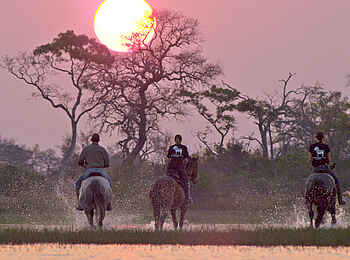 Kujwana Camp: Ausritt am Morgen