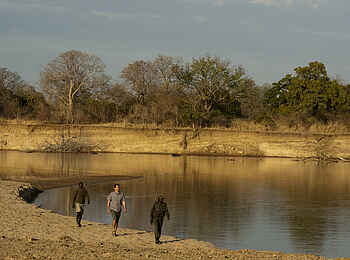Luangwa River Camp: Walking Safari Luangwa River Camp: Walking Safari