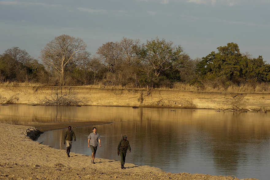 Luangwa River Camp: Walking Safari Luangwa River Camp: Walking Safari