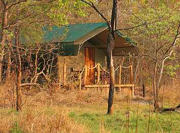 Nanzhila Plains Safari Camp: Gästezelt am Waldrand Nanzhila Plains Safari Camp: Gästezelt am Waldrand