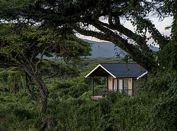 Ngorongoro Lions Paw Camp: Executive Family Room Ansicht