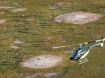 Sandibe under Canvas Camp: Helikopterflug