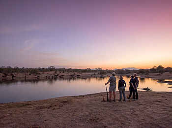 Saseka Tented Camp: Eine Wandersafari zum Sonnenuntergang Saseka Tented Camp: Eine Wandersafari zum Sonnenuntergang