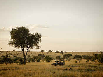 Serian The Original Camp: Pirschfahrt