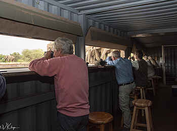Tuli Safari Lodge Mashatu: Im Hide