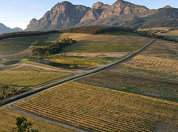 Babylonstoren: Blick über die Weinfelder und den Simonsberg