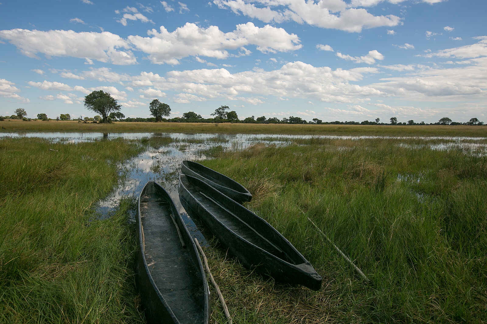 Bushman Plains Camp: Mekoro am Ufer Bushman Plains Camp: Mekoro am Ufer