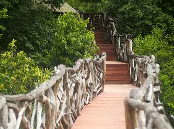Sarara Tree: Treppen zum Hauptgebäude Sarara Tree: Treppen zum Hauptgebäude