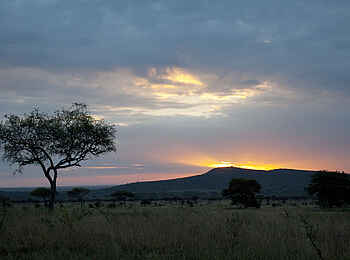 Dunia Camp: Sonnenuntergang Dunia Camp: Sonnenuntergang