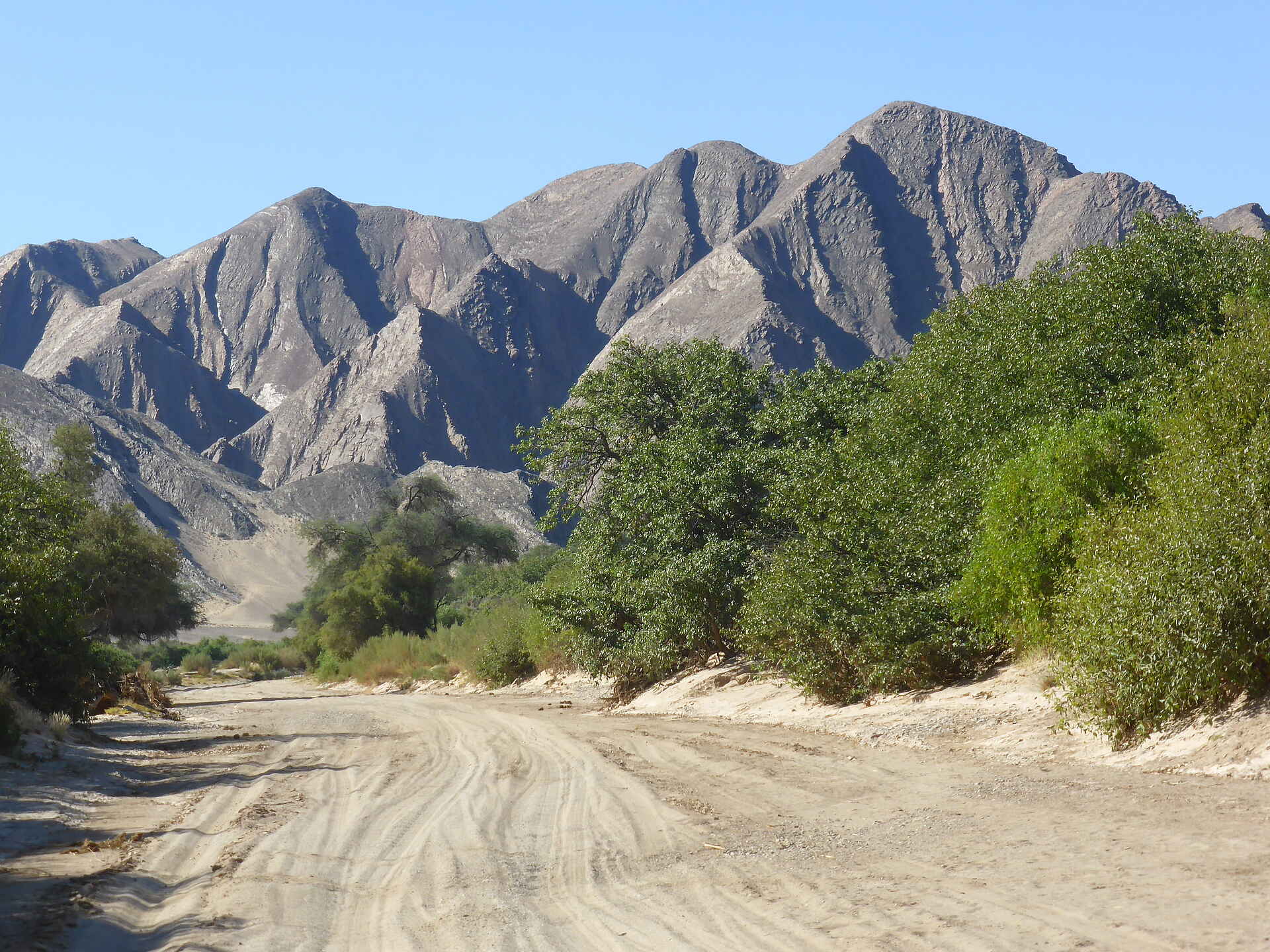Fort Sesfontein: Ein ausgetrocknetes Flussbett Berge, Flussbett, Damaraland, Fort Sesfontein, Kaokoveld, Namibia, Hoanib, Trockenfluss, Afrikarma, Afrikarma Safaris, Afrikarma Safaris – Wildnis. Hautnah., afrikarma.de