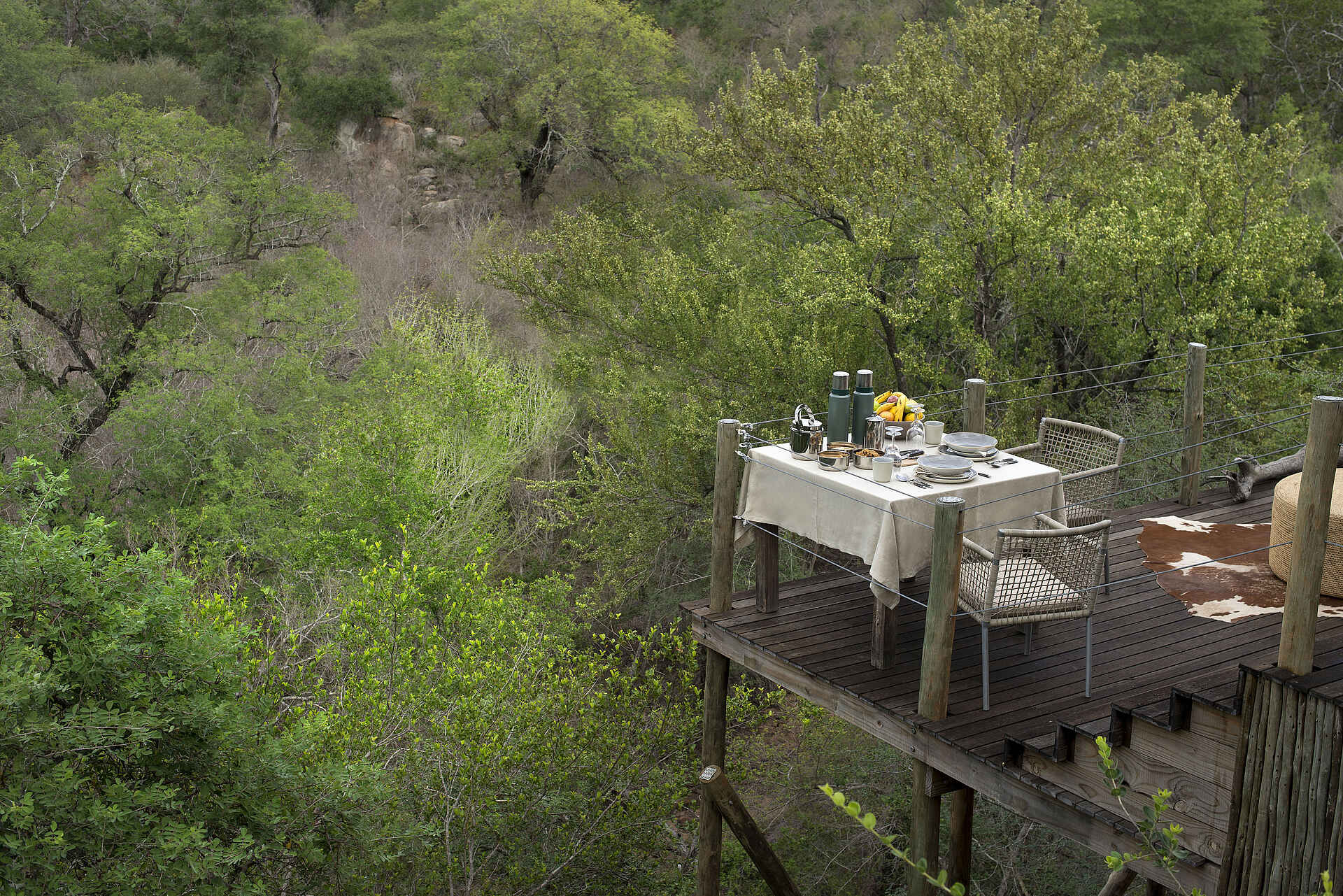 Baumhaus, Grün, Lion Sands, Lion Sands Kingston Treehouse, More, Natur, Plattform, Tree House, Treehouse, Ambient, Bäume, Esstisch, Stimmung, Afrikarma, Afrikarma Safaris, Afrikarma Safaris - Wildnis. Hautnah., Afrikarma.de