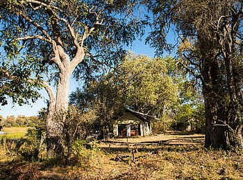 Okavango Explorers Camp: Gästezelte Okavango Explorers Camp: Gästezelte