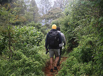 Soroi Cheetah Tented Camp: Wandern in den Taita Hills