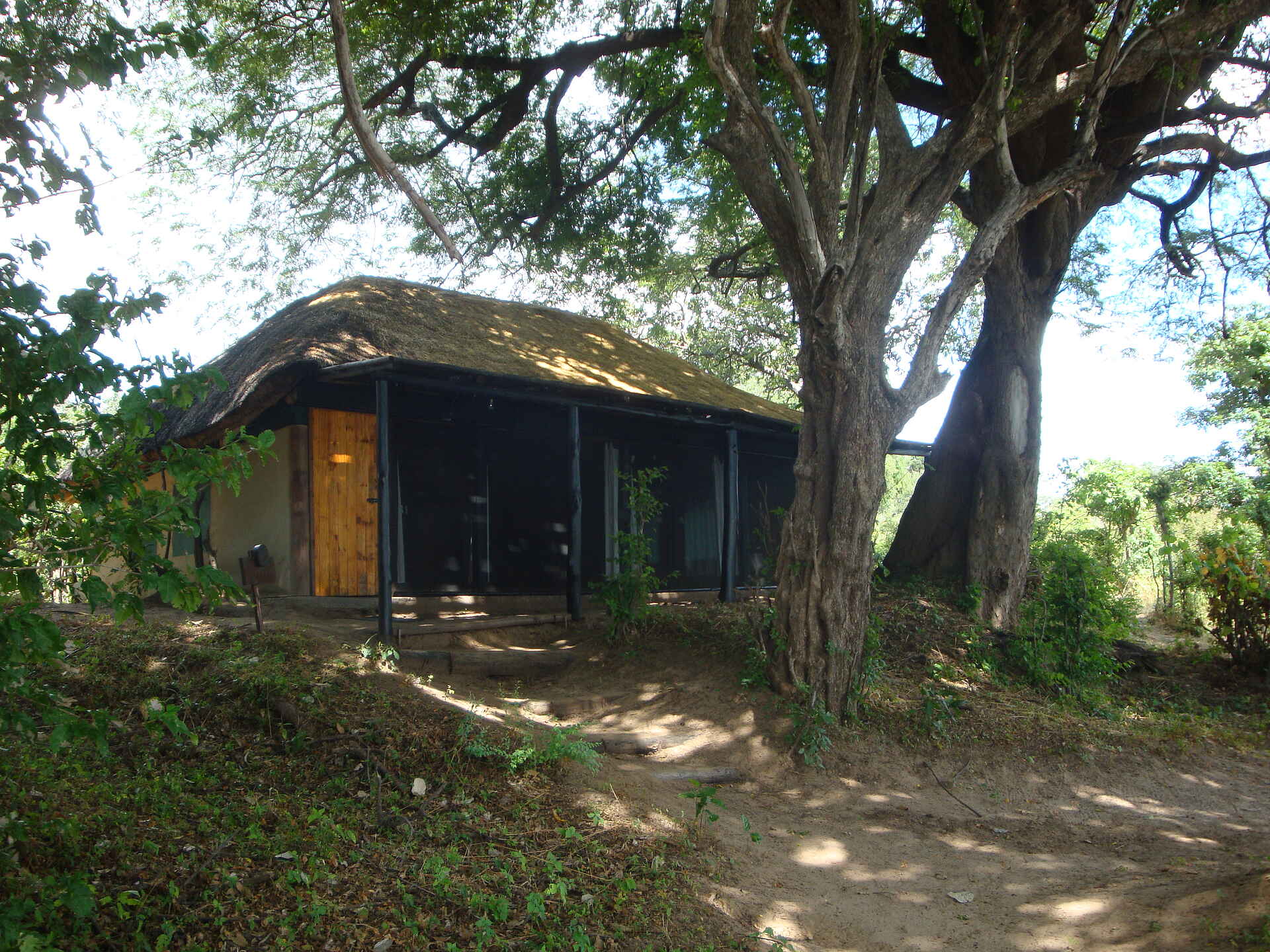 Vundu Camp: Gästechalet von außen Canoe Safari, Chitake Camp, Game Drive, Kanu Safari, Little Vundu, Mana Pools National Park, Sambesi, Vundu Camp, Walking Safari, Zambezi, Gästechalet, Gästezelt, afrikarma, afrikarma Safaris, afrikarma Safaris - Wildnis. Hautnah., afrikarma.de