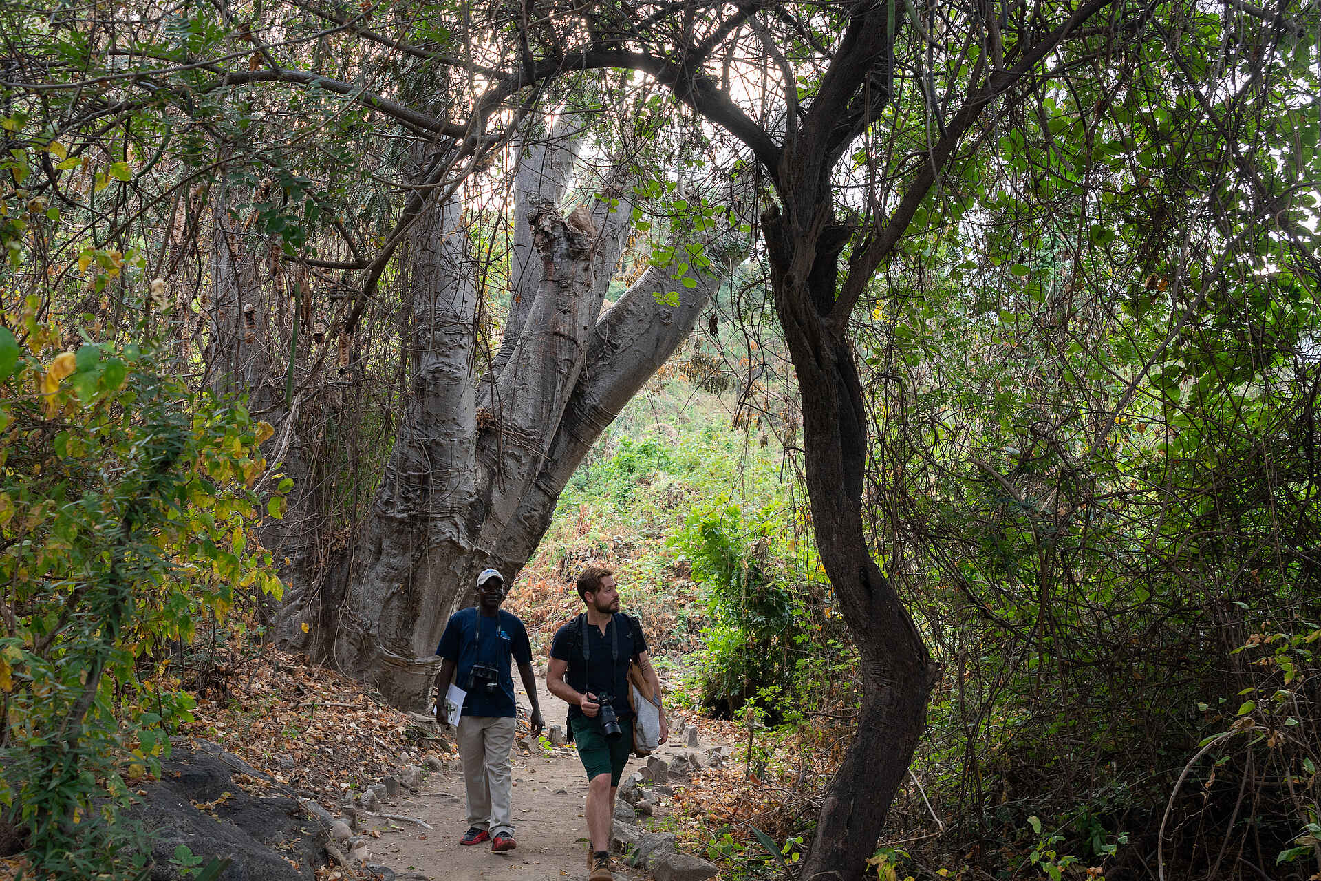 Blue Zebra Island Lodge: Auf dem Nature Trail