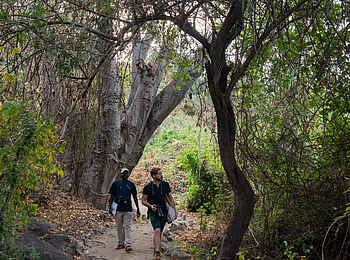 Blue Zebra Island Lodge: Auf dem Nature Trail