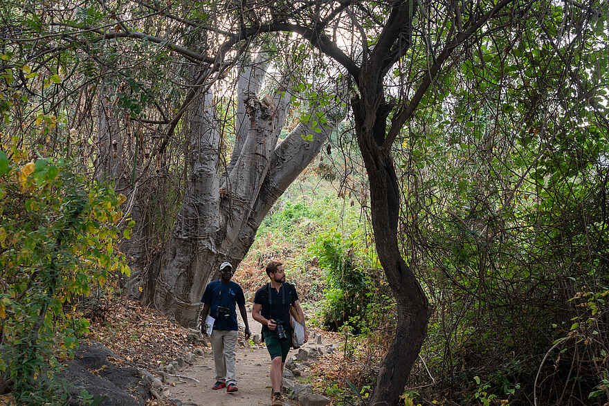 Blue Zebra Island Lodge: Auf dem Nature Trail Blue Zebra Island Lodge: Auf dem Nature Trail