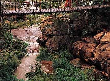Makweti Safari Lodge: Hängebrücke über eine Felsklamm