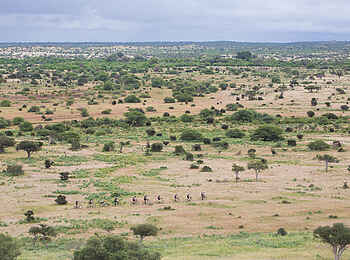 Mashatu Game Reserve: Cycle Mashatu