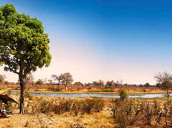 Selinda Explorers Camp: Spillway-Panorama Selinda Explorers Camp: Spillway-Panorama