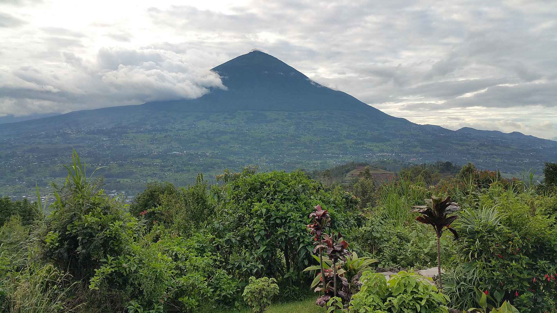 Gorilla, Gorilla Tracking, Ruhengeri, Singita, Singita Kwitonda Lodge, Volcanoes National Park, Mt. Muhabura