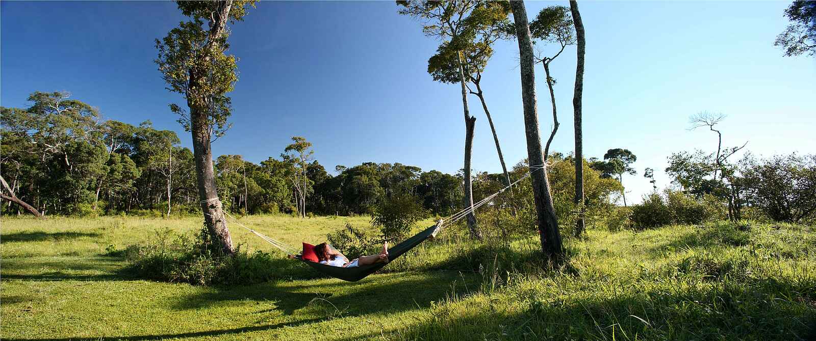 Elephant Pepper Camp: "Chill Out Area" Elephant Pepper Camp: "Chill Out Area"