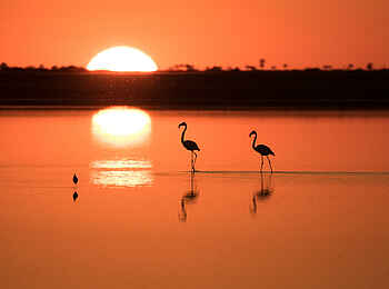 Jack´s Private Camp: Sonnenuntergang