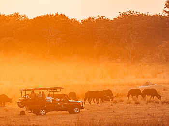 Khulu Bush Camp: Abendstimmung Khulu Bush Camp: Abendstimmung