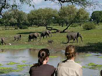 Luangwa Safari House: Elefanten an der Lagune Luangwa Safari House: Elefanten an der Lagune