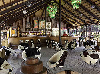 Planet Baobab: Bar Bereich Planet Baobab: Bar Bereich