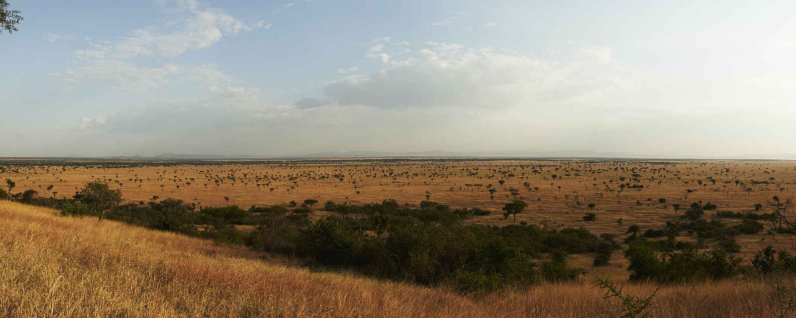 Singita Explore Mobile Tented Camp: Panoramablick Singita Explore Mobile Tented Camp: Panoramablick