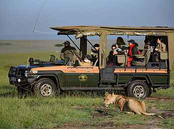 Soroi Mara Bush Camp: Löwenbeobachtung bei Pirschfahrt