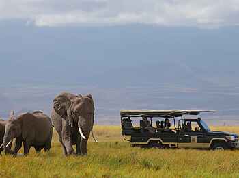 Tortilis Camp: Erleben Sie die größten Elefanten Afrikas Tortilis Camp: Erleben Sie die größten Elefanten Afrikas